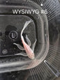 Snow White Bristlenose Pleco (Ancistrus sp.)